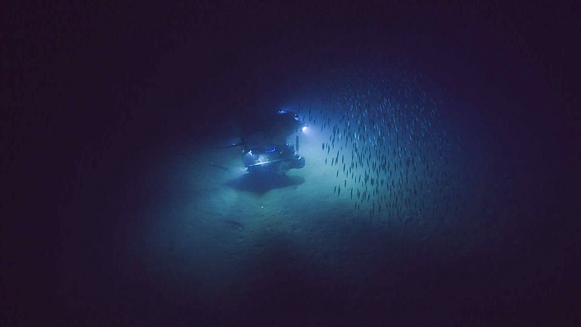 The deep sea сайт. Глубокие воды. Глубокое море. Глубоководный океан. Фото глубины океана.